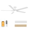 DAMINY 52 inch Ceiling Fans with Lights,5 Blades,6CCT, Remote Control