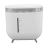 Humidifier 2L Capacity USB Charging Delicate Double Spray Humidifier with