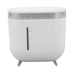 Humidifier 2L Capacity USB Charging Delicate Double Spray Humidifier with Colorful Lights White