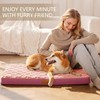 Patas Lague Orthopedic XL Dog Bed Large Sized Dog 48''X30'',