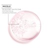 Garnier Essentials pĹyn micelarny 3w1 do demakijaĹzu twarzy,oczu i ust