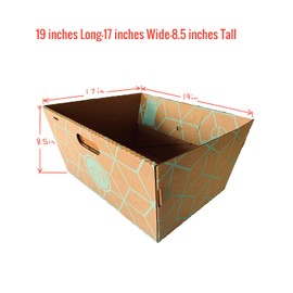 12 Trays, Disposable Litter Boxes for Cats - Litter Box, Fits Large Cats - Water Resistant Cat Litter Box - Made in USA, 19" L x17 W x 8.5" H tray - enclosed box