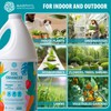 MARPHYL Plant Fertilizer Houseplants and Garden - Marine Phytoplankton Soil