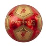 Liverpool FC Signature Skill Ball (One Size) (Red/Gold)