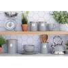Typhoon Living Tea Storage Canister, Grey, 1400.731V, 1 Litre