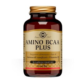 Solgar AMINO BCAA PLUS, 50 capsule vegetali – Aminoacidi ramificati + Vitamina B6 – metabolismo proteico e riduzione stanchezza