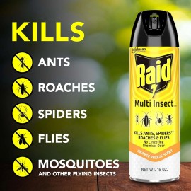Raid Multi Insect Killer, Orange Breeze, 15 Ounce (Pack of 1)
