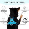 ShawnCo Basecamp Dog Harness, No-Pull Pet Vest with 3 Leash