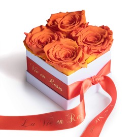 ROSEMARIE SCHULZ Heidelberg Preserved Rose Flowers Shelf Life 3 Years in White Rose Box with Satin Ribbon in Orange and Gold Lettering "La Vie en Roses" (Orange)