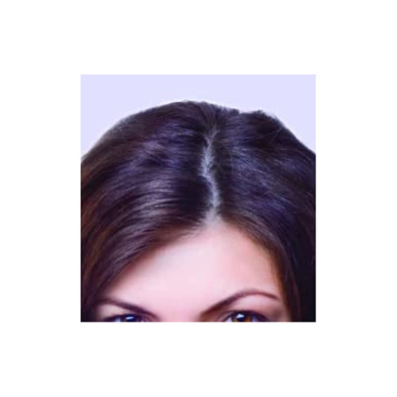 Claudia Stevens Cover That Gray Root Touch Up Hair Color