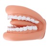 28 Teeth Mouth Hand Puppet with Tongue for Kids Speech