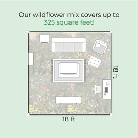 Idaho Wildflower Seed Mix, Covers 325 Sq Ft, 17 Flower Varieties, Over 53,000 Seeds - Created By Nature