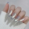 Divock Divok Chilling Glitter Magnet Gel + 30 parts /