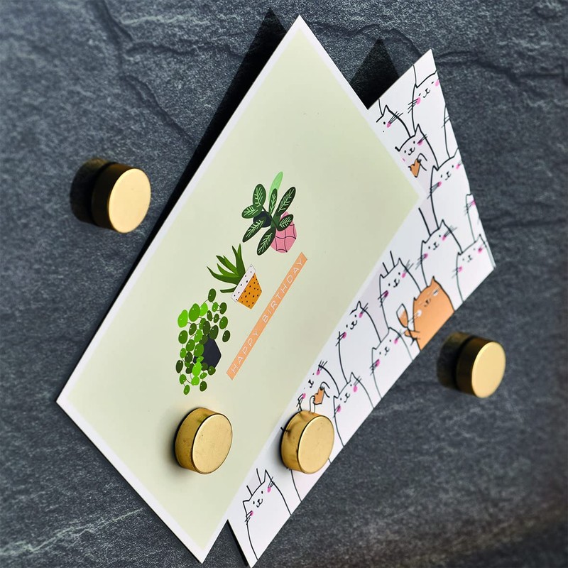 Zeller 11234 Magnet Set of 4 Extra Strong Gold Approx.