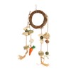 Rabbits Cage Hanging Chew Toys Safe Teeth Grinding Healthy Bunny