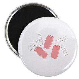 CafePress Hair Rollers Bobby Pins Magnets 2.25" Round Magnet, Refrigerator Magnet