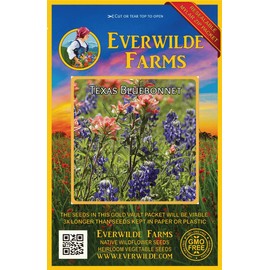 Everwilde Farms - 50 Texas Bluebonnet Native Wildflower Seeds - Gold Vault Jumbo Seed Packet