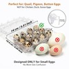 120 Pack Quail Egg Cartons 12 Grid, Heavy Duty Snap