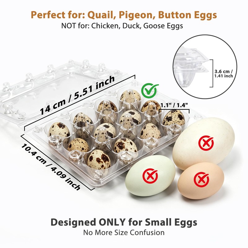 120 Pack Quail Egg Cartons 12 Grid, Heavy Duty Snap