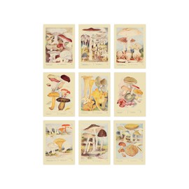 Ink Inc. Botanical Wall Art Prints - Wild Mushrooms - Set of 9 5x7 inches - Unframed