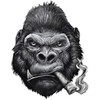 DesignsForrest DF Gorilla Smoking Cigar Bumper Sticker - Toolbox, Laptop,
