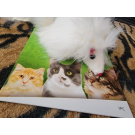 CA&T Ware Cat Kitten Fluffy White Real Fur Mouse Toy Each