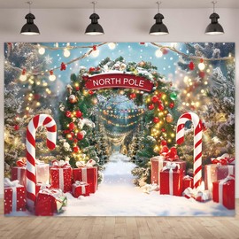 Rieetmk Christmas Backdrop - Winter Snow Scene with Candy Canes Photography Background for Xmas Party Booth Studio Decor Banner - North Pole Aurora Forest Wooden Soft Polyester Fabric(10x8ft)