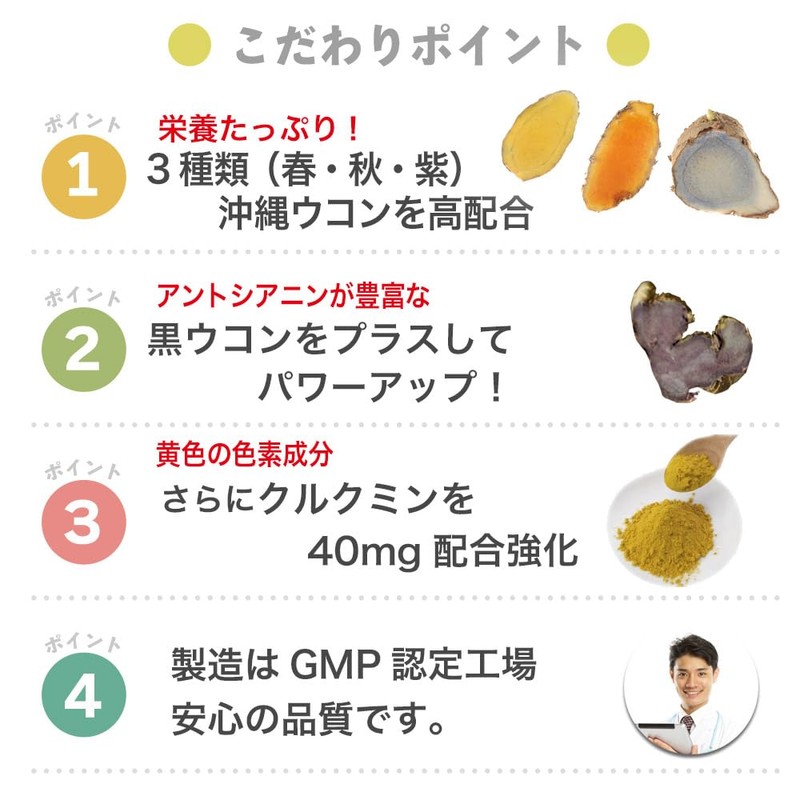 大日ヘルシーフーズ 肝源ウコン 90粒入×3袋 春ウコン 秋ウコン 紫ウコン 黒ウコン 配合 錠剤タイプ サプリ