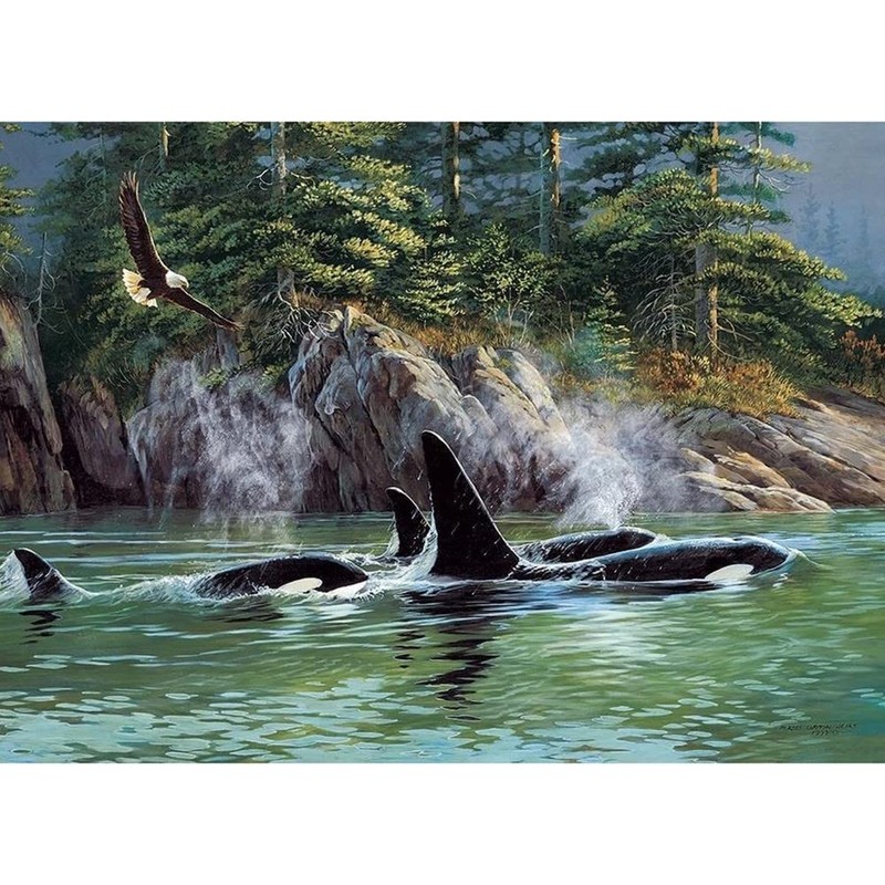 Cobble Hill 1000 Piece Puzzle - Orcas - Sample Poster