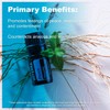 doTERRA - Peace Essential Oil Reassuring Blend - Promotes Feelings