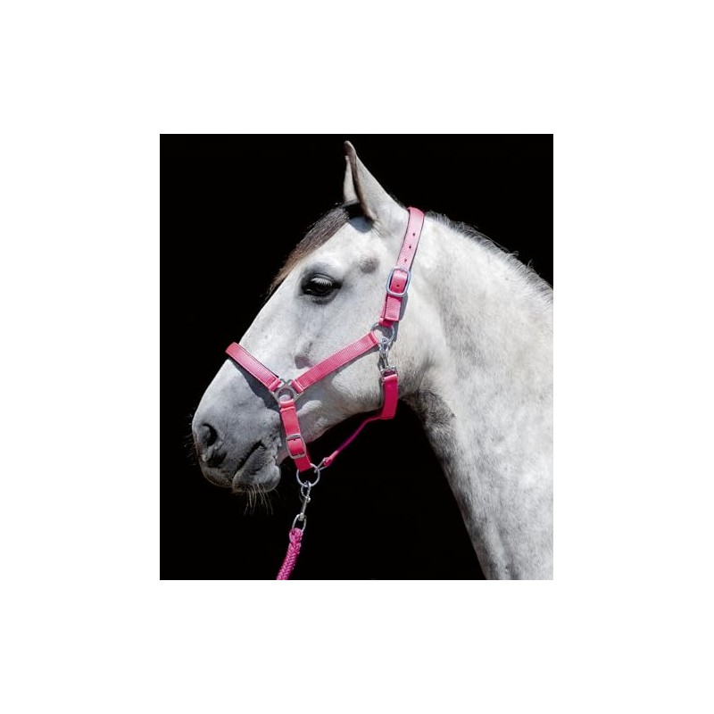 HKM Sports Equipment Stars Soft Lined Headcollar Neon Yellow Thoroughbred