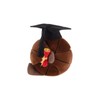 Apricot Lamb Abschluss Basketball Ball Sport Plüschtiere für Kinder, weiche