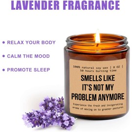 Smells Like It's Not My Problem Anymore - Funny Retirement Gift Idea - Coworker Retirement Gift - Soy Candle - Funny Candle - Retirement Candle