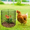 Adnee 10 Packs Wire Plant Protector from Animals - 12"