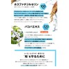 Serotonin Total Toughness Kiron COOL SWITCH / Ginkgo Leaf 120