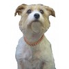Copper Magnetic Therapy Dog Collars Made to Measure in Solid