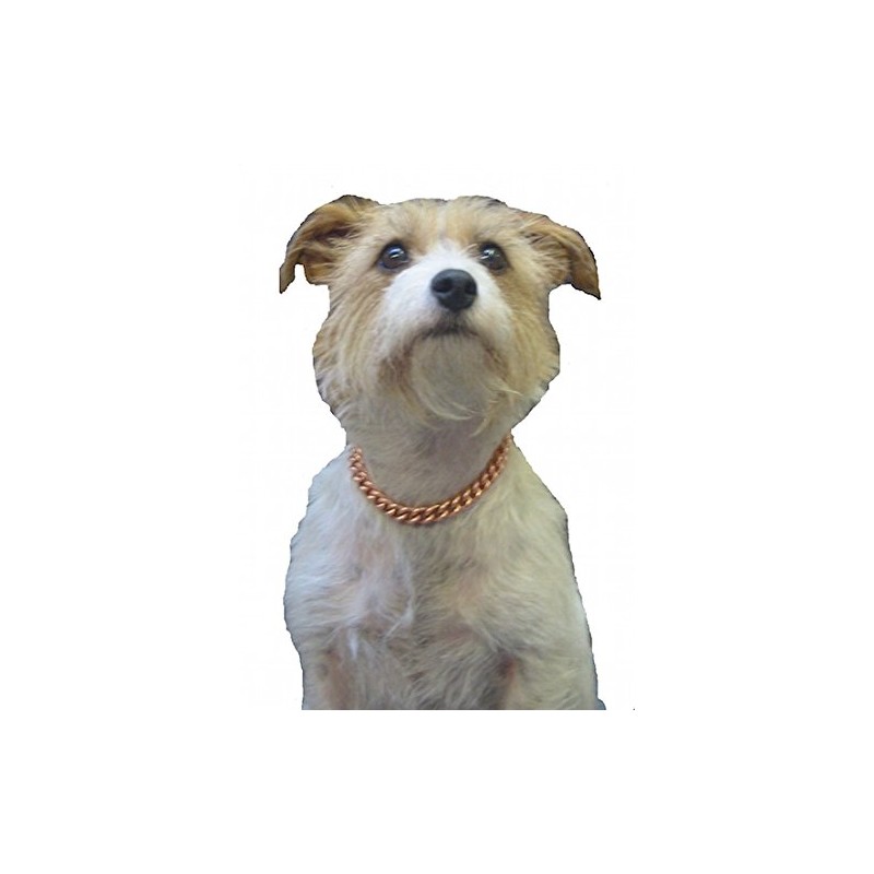 Copper Magnetic Therapy Dog Collars Made to Measure in Solid
