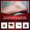 Eliminator Ant, Flea & Tick Killer Plus Lawn Insect Granules,