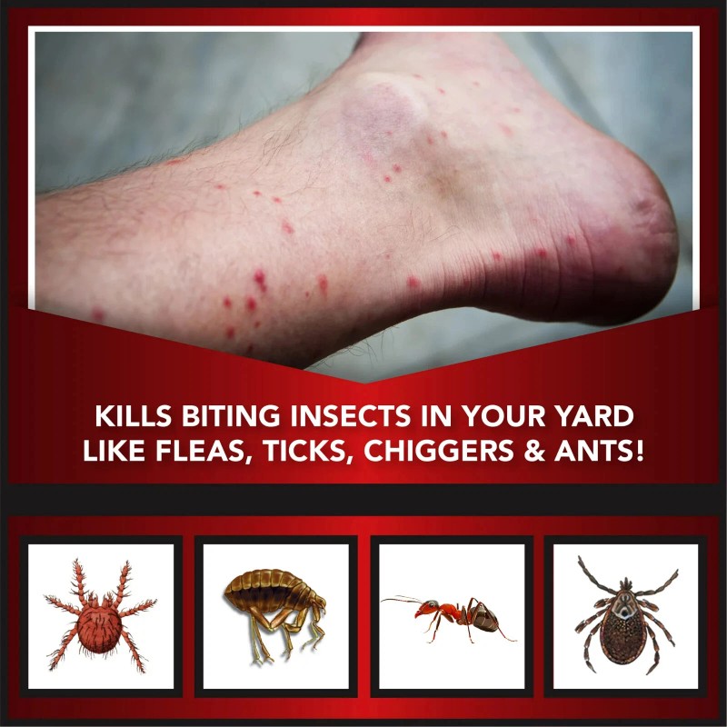 Eliminator Ant, Flea & Tick Killer Plus Lawn Insect Granules,