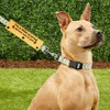 Scared Dogs Leash I'm a Little Scared Please Ask to