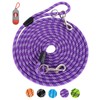 100FT Extra Long Leashes for Dog Training, Reflective Threads Check