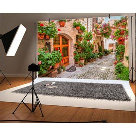 Leyiyi 6x4ft Italian Town Street Ally Backdrop Spring Flowers Blossom Medieval Architecture Summer Holiday Travel Europe Photo Background Children Baby Adults Wedding Portrait Shoot Studio Vinyl Prop