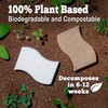Natural Kitchen Sponge - Biodegradable Compostable Plant Based Coconut Scrubber