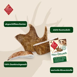 ChronoBalance® L Kaugeweih Damhirsch für Hunde als Kauspielzeug: 100% Geweih Abwurfstange Kaustange Hundespielzeug zur Zahnpflege, natürlicher Kausnack, Mineralstoffe & Nährstoffe