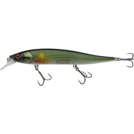 BERKLEY Dex Stunna Fishing Bait (18.99, Ayu)