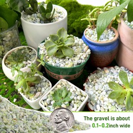 45lb Jade Bean Stone for Succulents,Bonsai,DIY Projects Rocks,Decorative Gravel for Plants and Vases Fillers,Fairy Gardening,Natural Stone Top Dressing for Potted Plants (1/4 Inch)