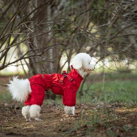 PawPawer Dog Raincoat Jacket with Reflective String and Elastic Cuffs Waterproof and Windproof Four-Legged Design for Small and Medium Breed (Red, X-Large)