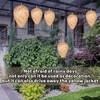 Pack of 6 Dummy Wasp Nest, Weatherproof, Hornet Nest Dummy