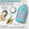 Terra Pure Infuse Hotel Shampoo | 1 Gallon | Designed