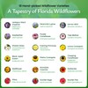 Created By Nature Florida Wildflower Seed Mix, 18 Flower Varieties,